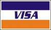 Visa планирует запустить оплату по QR-коду в российских магазинах