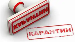 Пенсионеры могут не платить кредиты во время карантина
