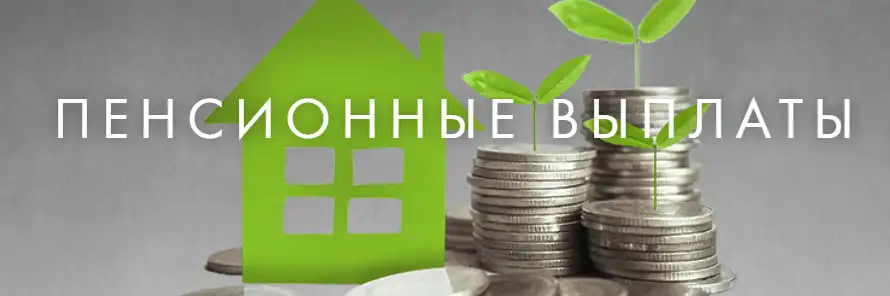 РБК сообщил о том, какая будет новая накопительная пенсионная система