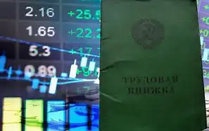 Когда трудовой стаж будет учитываться в электронном виде?