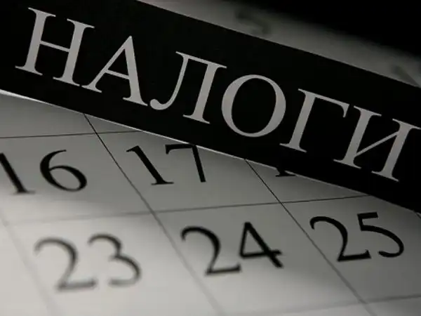Какие налоги россияне заплатили в 2019 году?